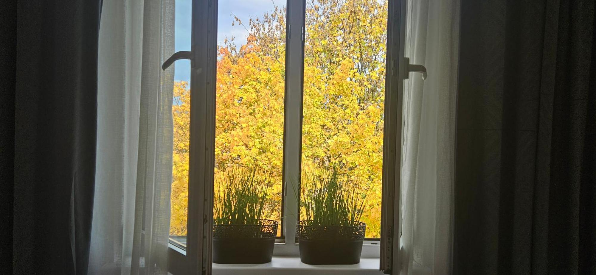 Apartament Diselvio Nowy Targ Bagian luar foto