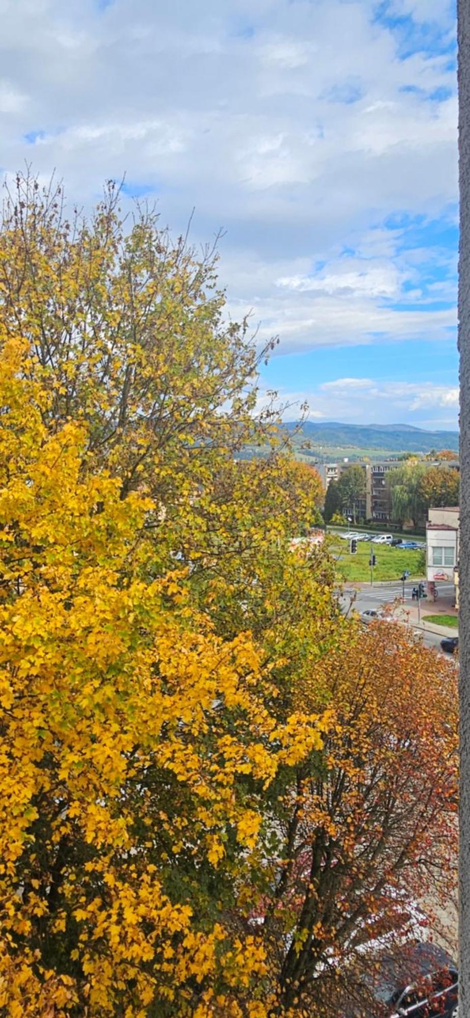 Apartament Diselvio Nowy Targ Bagian luar foto